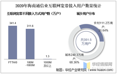 2020年海南通信業電信用戶、電信業務及電信資產統計分析
