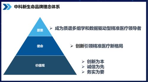 知名品牌咨詢公司行舟品牌服務模塊解析 品牌核心理念介紹